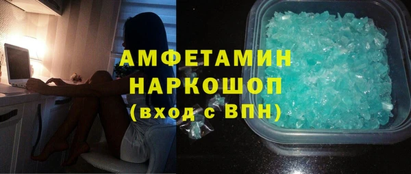 хмурый Аркадак