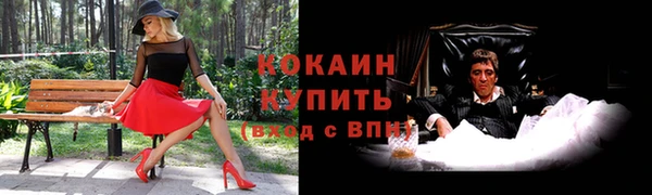 spice Михайлов