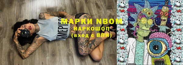 хмурый Аркадак
