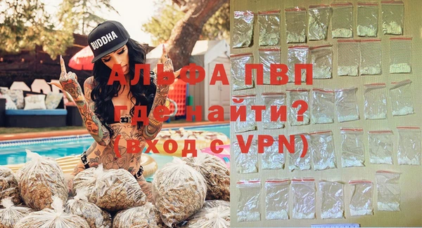хмурый Аркадак