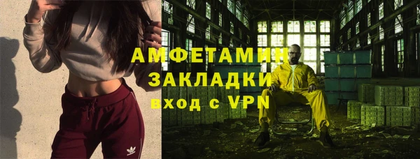 хмурый Аркадак