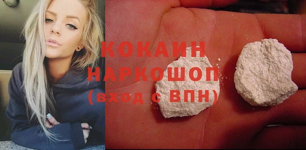 хмурый Аркадак