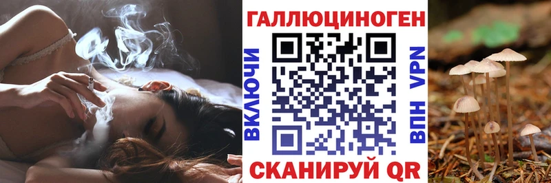 площадка формула  Сим  Галлюциногенные грибы Cubensis 